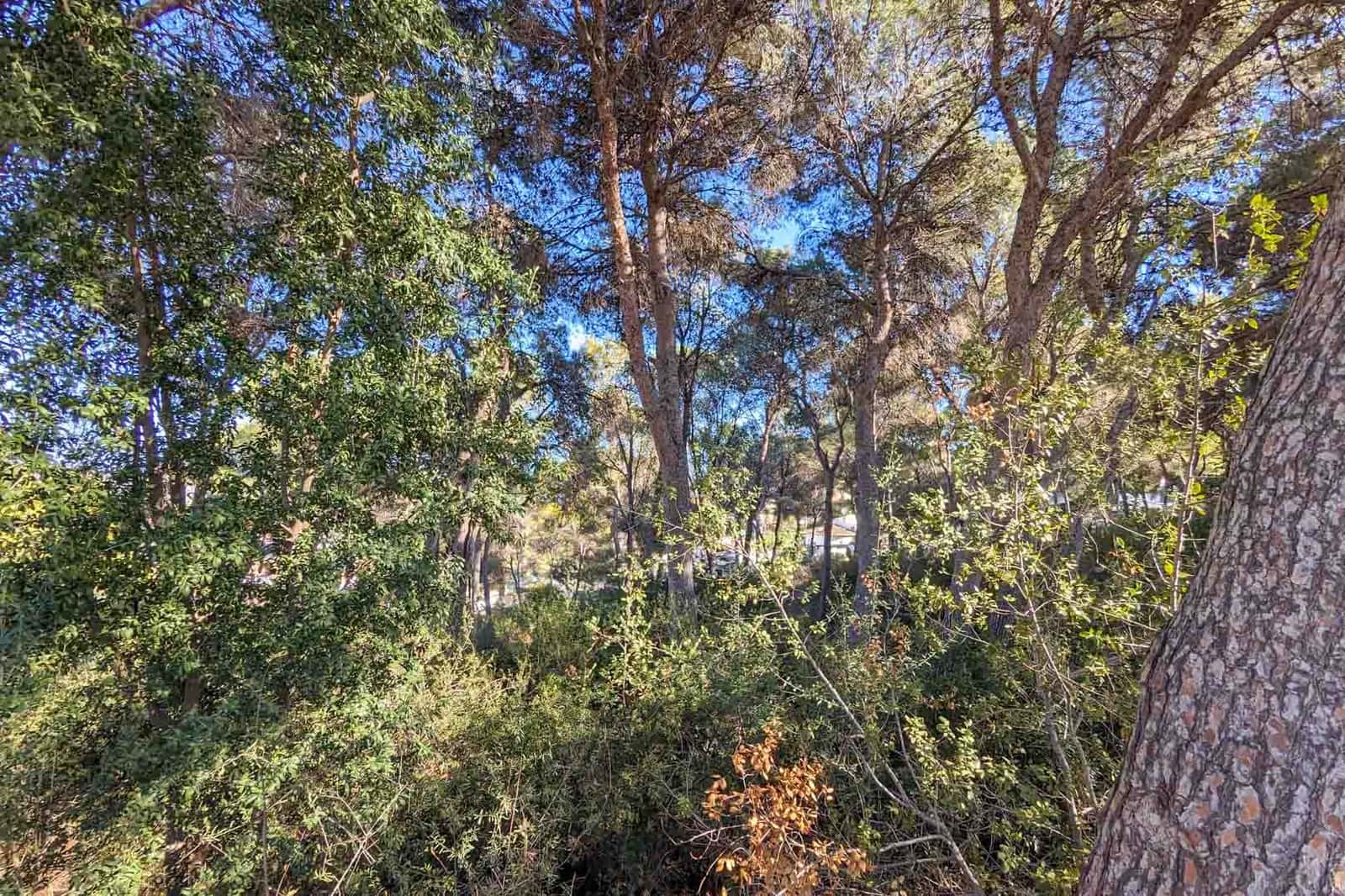 6 makuuhuone Huvila myytävänä paikassa Moraira mukana uima-altaan - 4 500 000 € (Ref: 9584951)