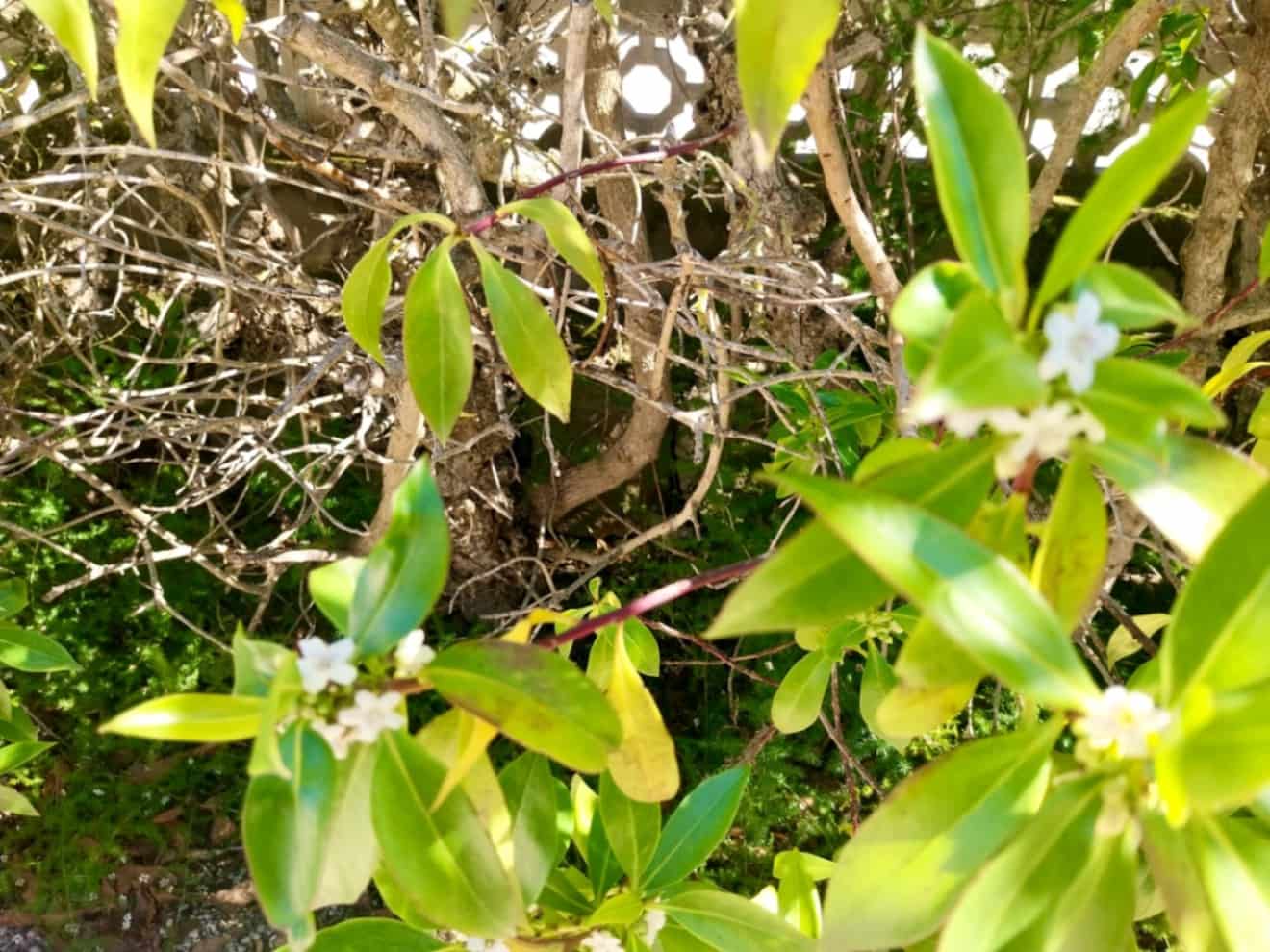 4 camera da letto Villa in vendita in Javea / Xabia con piscina - 595.000 € (Rif: 9685673)