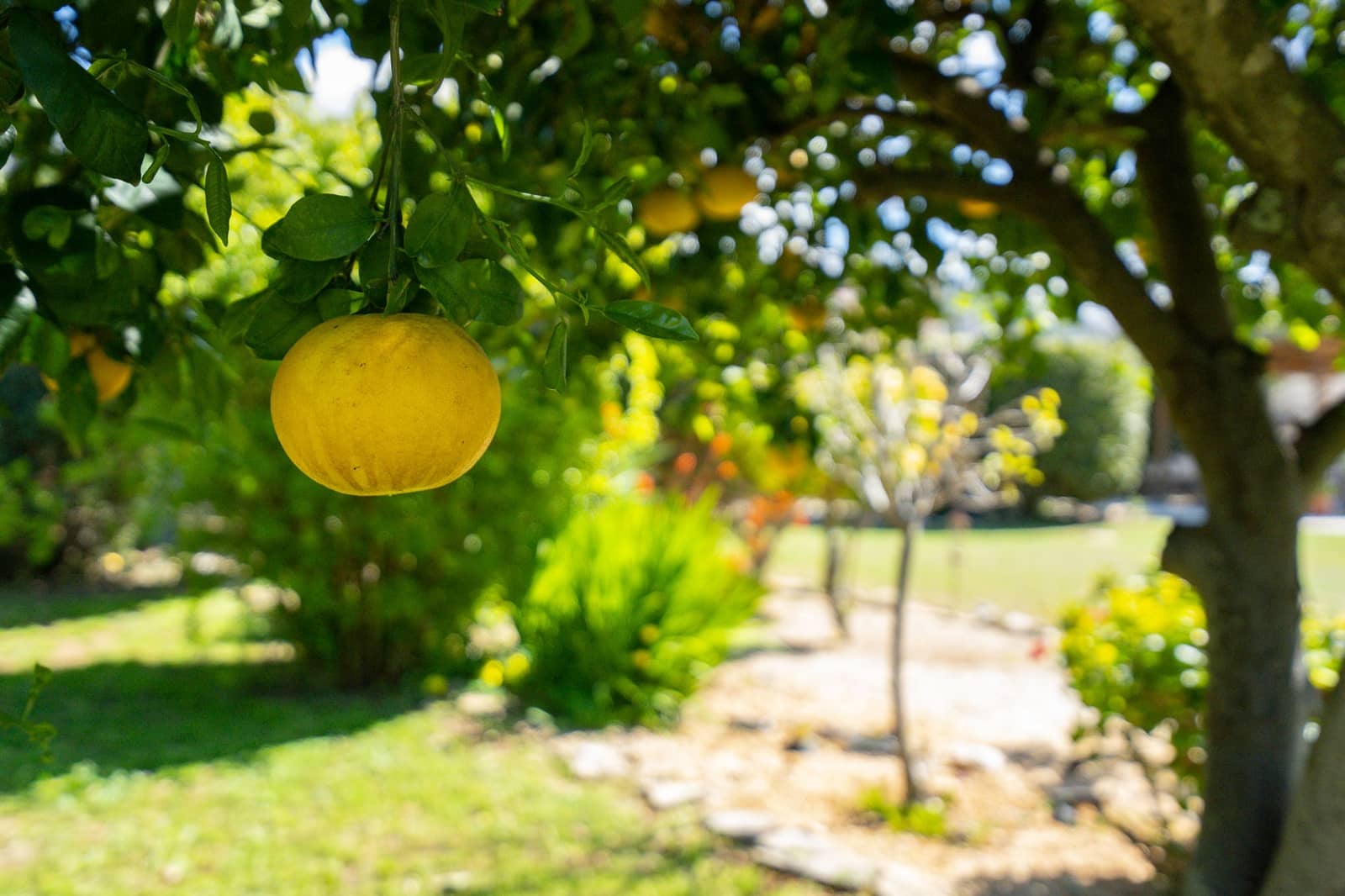 6 quarto Moradia para venda em Denia com piscina - 695 000 € (Ref: 9694339)