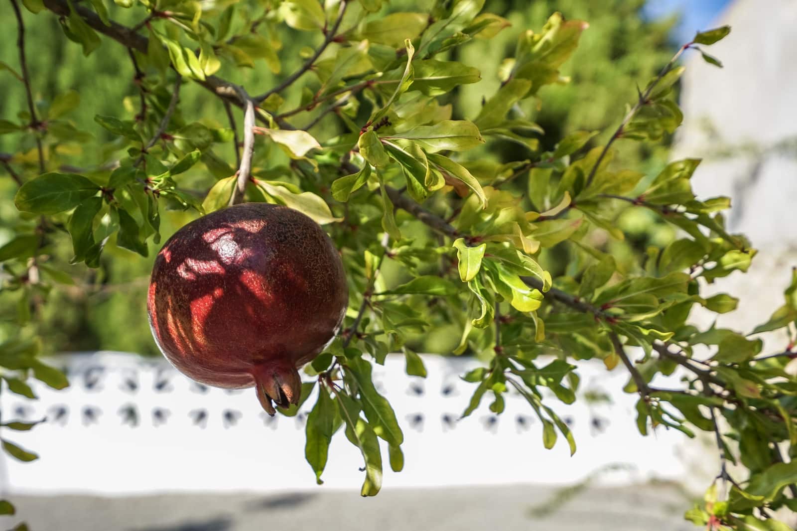 3 soveværelse Villa til salg i Benissa med swimmingpool - € 725.000 (Ref: 9694354)