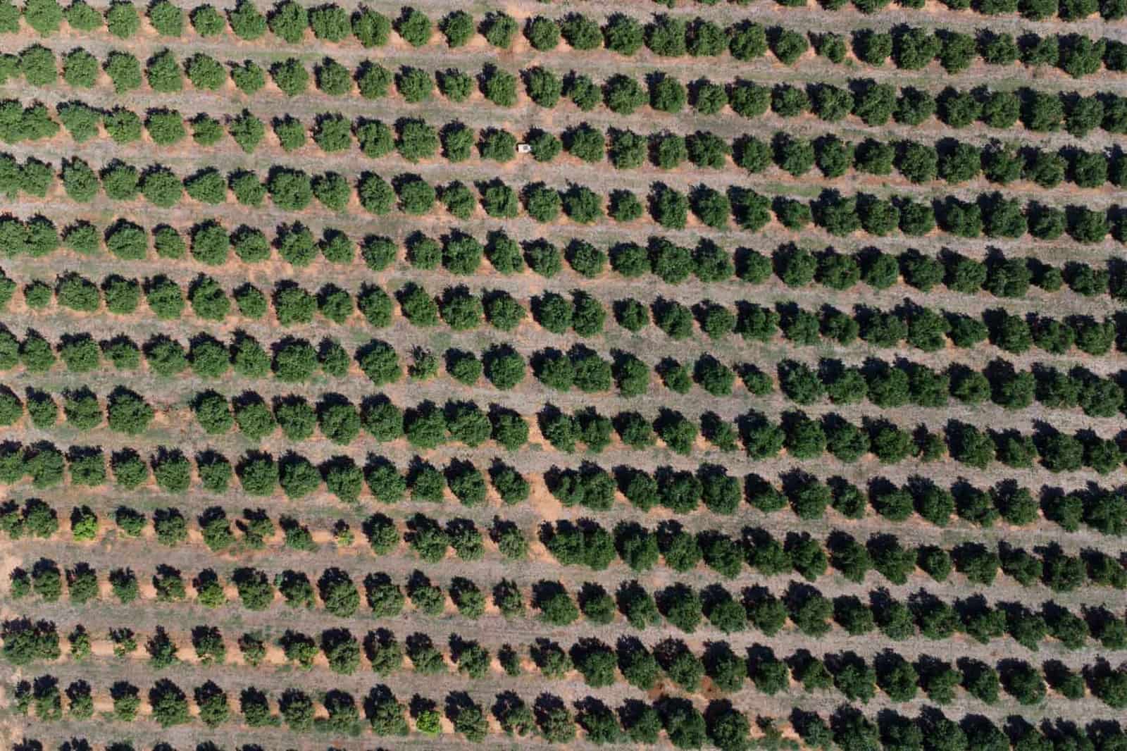 Villa for sale in Denia - € 680,000 (Ref: 9694371)