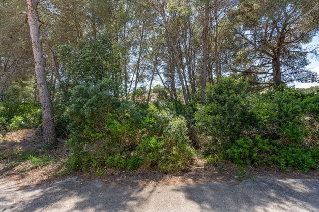 Tomt till salu i La Granadella  - Costa Nova, Javea / Xàbia - 185 000 € (Ref: 9694383)