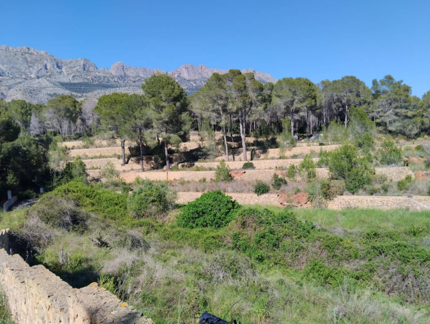 4 bedroom Villa for sale in Altea la Vella with pool garage - € 1,800,000 (Ref: 9733870)