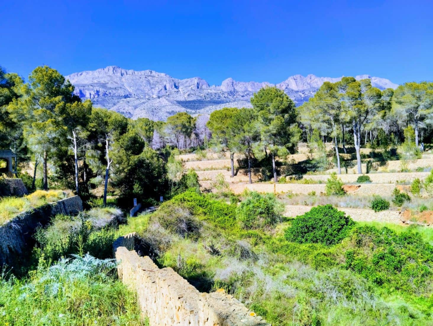 4 bedroom Villa for sale in Altea la Vella with pool garage - € 1,800,000 (Ref: 9733870)