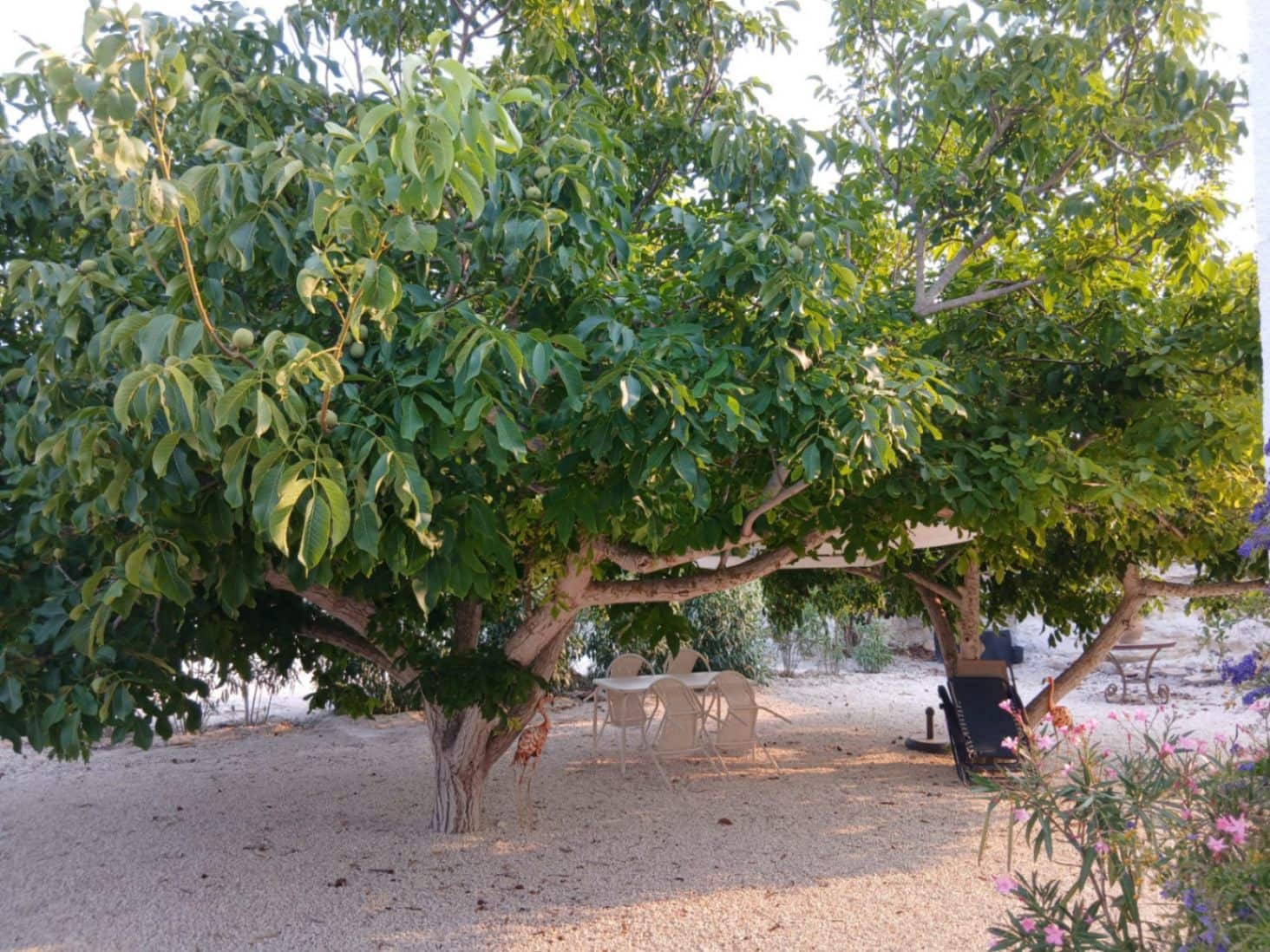 3 soverom Villa til leie i Teulada med garasje - € 1 400 (Ref: 9793637)