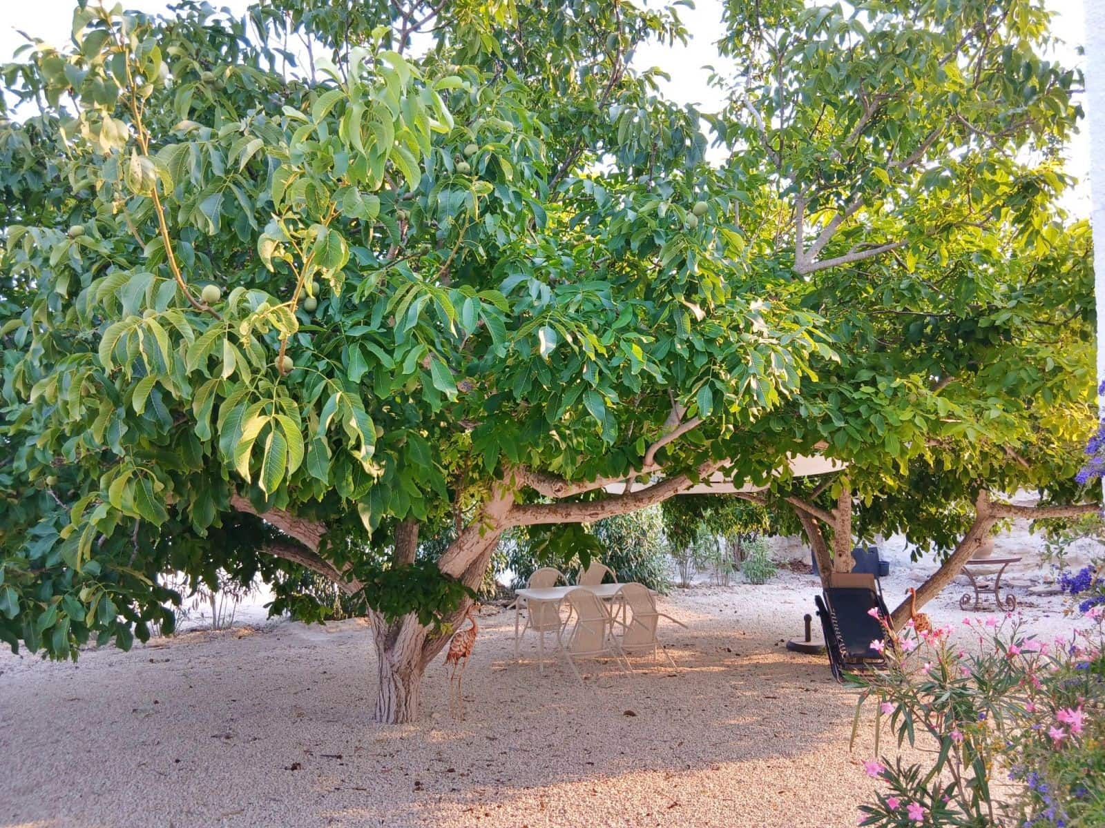 3 soverom Villa til leie i Teulada med garasje - € 1 400 (Ref: 9793637)