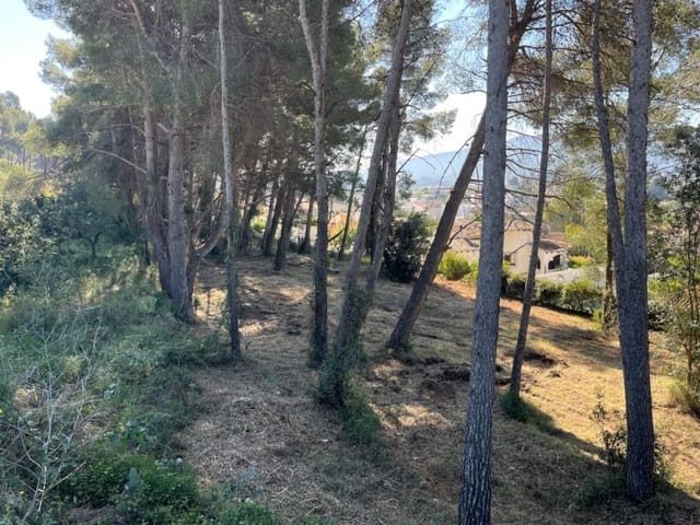 Działka budowlana na sprzedaż w Alcalalí / Alcanalí - 300 000 € (Ref: 9819143)