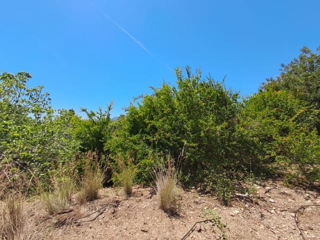 Building Plot for sale in Altea - € 399,999 (Ref: 9848200)