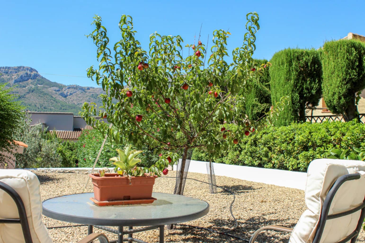 5 quarto Moradia para venda em Alcalali / Alcanali com piscina garagem - 575 000 € (Ref: 9944658)