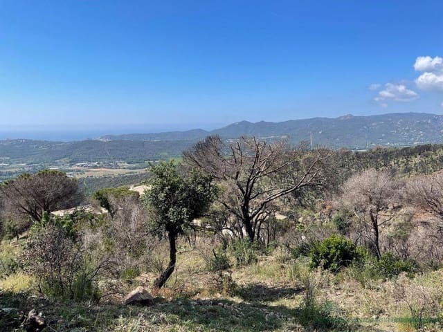 Terreno/Finca Rústica en Platja d'Aro, Castell-Platja d'Aro en venta - 375.000 € (Ref: 10095486)