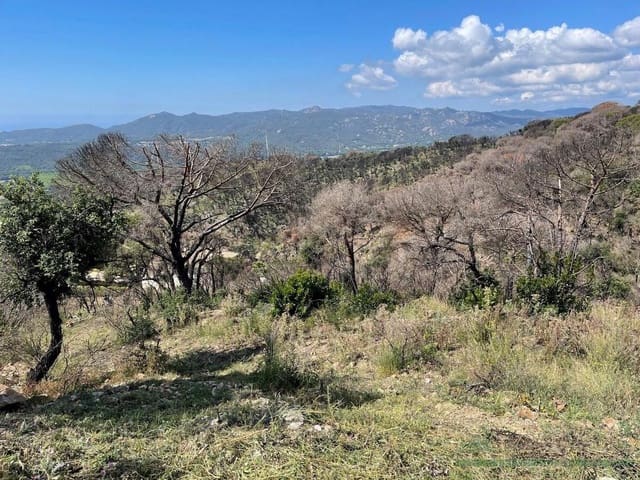 Terreno/Finca Rústica en Platja d'Aro, Castell-Platja d'Aro en venta - 375.000 € (Ref: 10095486)