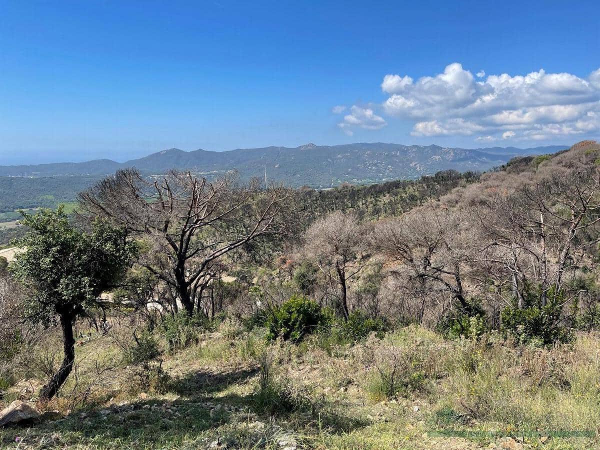 Terreno/Finca Rústica en Platja d'Aro en venta - 375.000 € (Ref: 10095486)