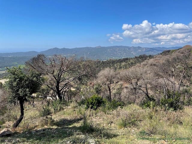 Terreno/Finca Rústica en Platja d'Aro, Castell-Platja d'Aro en venta - 375.000 € (Ref: 10095486)