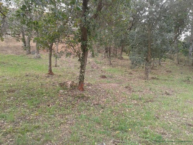 Terreno/Finca Rústica en Calonge i Sant Antoni en venta - 69.000 € (Ref: 10095487)
