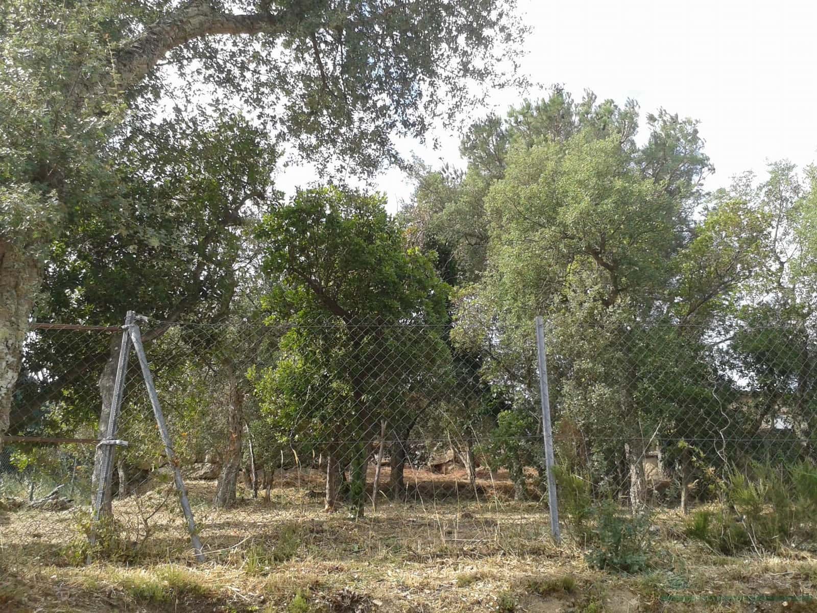 Terreno/Finca Rústica en Calonge i Sant Antoni en venta - 69.000 € (Ref: 10095487)