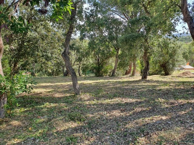 Terreno/Finca Rústica en Calonge i Sant Antoni en venta - 69.000 € (Ref: 10095487)