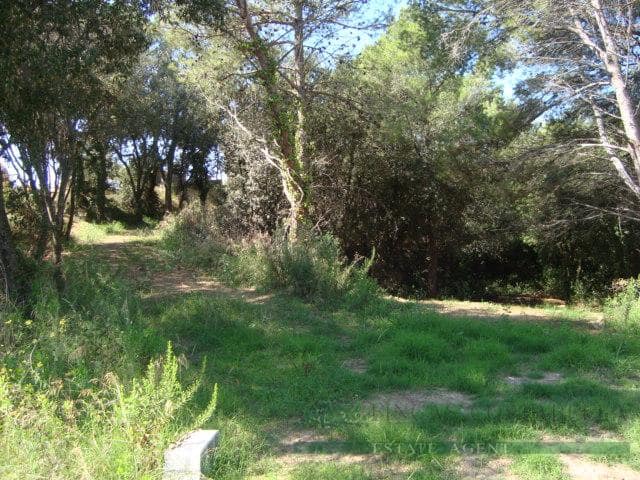 Landgrundstück zu verkaufen in Begur - 180.000 € (Ref: 10095495)