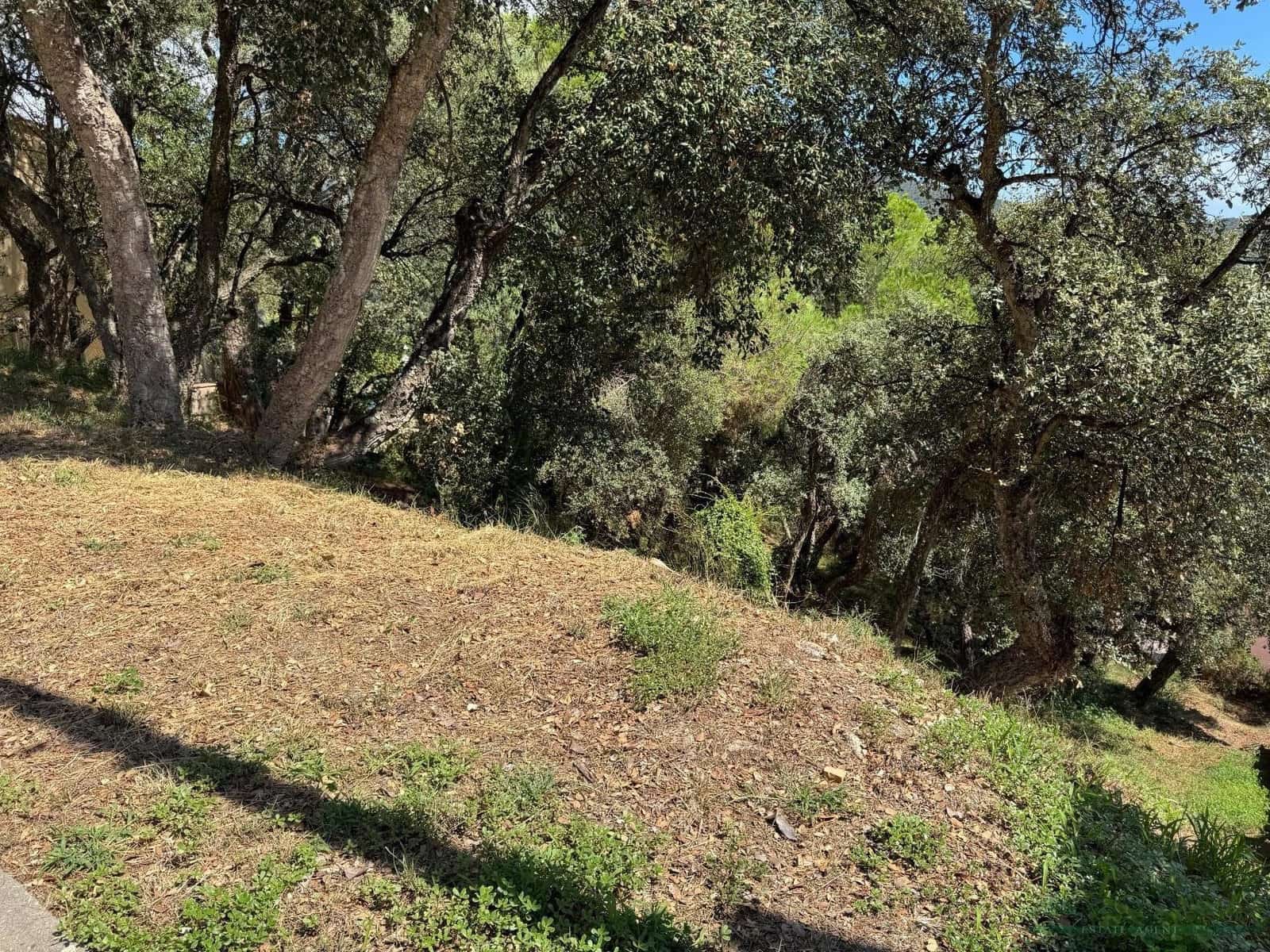 Undeveloped Land for sale in Calonge i Sant Antoni - € 132,000 (Ref: 10095497)