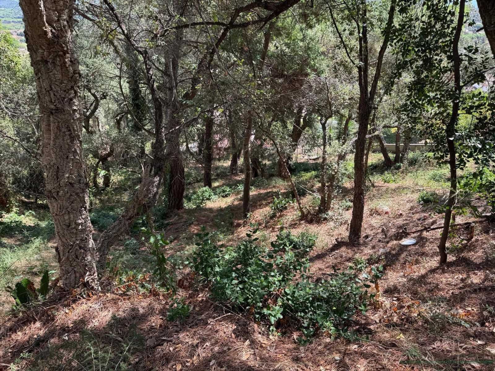Undeveloped Land for sale in Calonge i Sant Antoni - € 132,000 (Ref: 10095497)