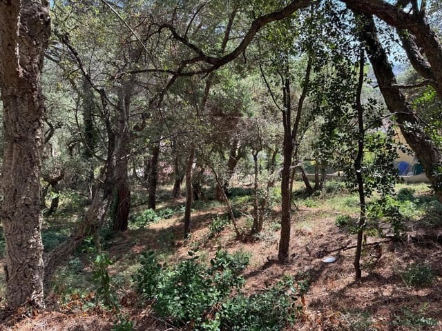 Terreno/Finca Rústica en Calonge i Sant Antoni en venta - 132.000 € (Ref: 10095497)