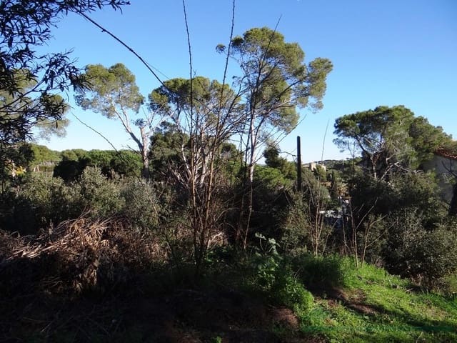 Terreno/Finca Rústica en Calonge i Sant Antoni en venta - 450.000 € (Ref: 10095501)
