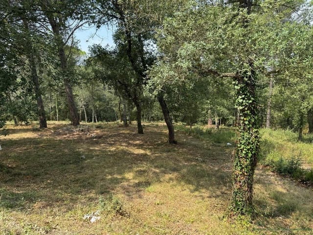 Ubebygd land til salgs i Caldes de Malavella - € 49 000 (Ref: 10095511)