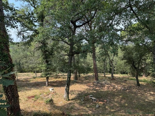 Ubebygd land til salgs i Caldes de Malavella - € 49 000 (Ref: 10095511)