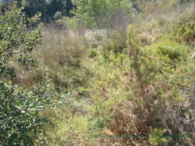 Landgrundstück zu verkaufen in Calonge i Sant Antoni - 55.000 € (Ref: 10095513)