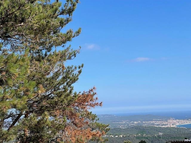 Terreno/Finca Rústica en Platja d'Aro, Castell-Platja d'Aro en venta - 170.000 € (Ref: 10095514)