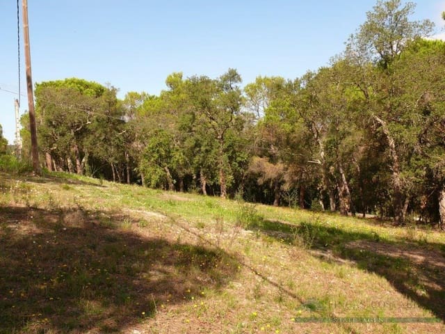 Ubebygd land til salgs i Santa Cristina d'Aro - € 150 000 (Ref: 10095520)