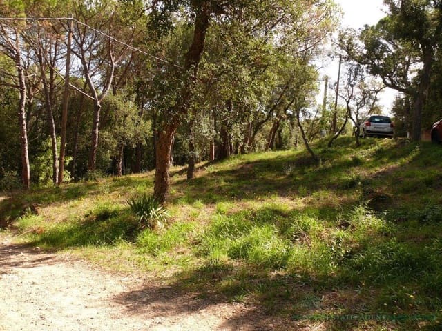 Ubebygd land til salgs i Santa Cristina d'Aro - € 150 000 (Ref: 10095520)