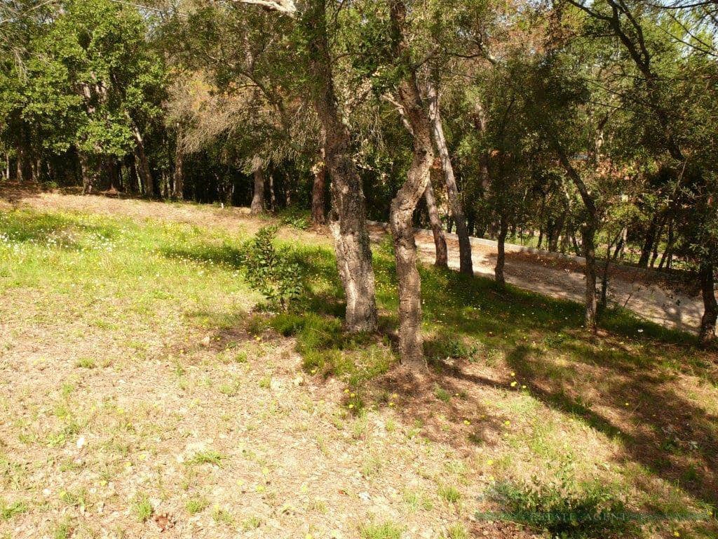 Undeveloped Land for sale in Santa Cristina d'Aro - € 150,000 (Ref: 10095520)