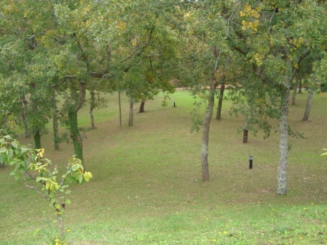 4 soveværelse Finca/Landehus til salg i Santa Cristina d'Aro med swimmingpool - € 1.350.000 (Ref: 6877338)