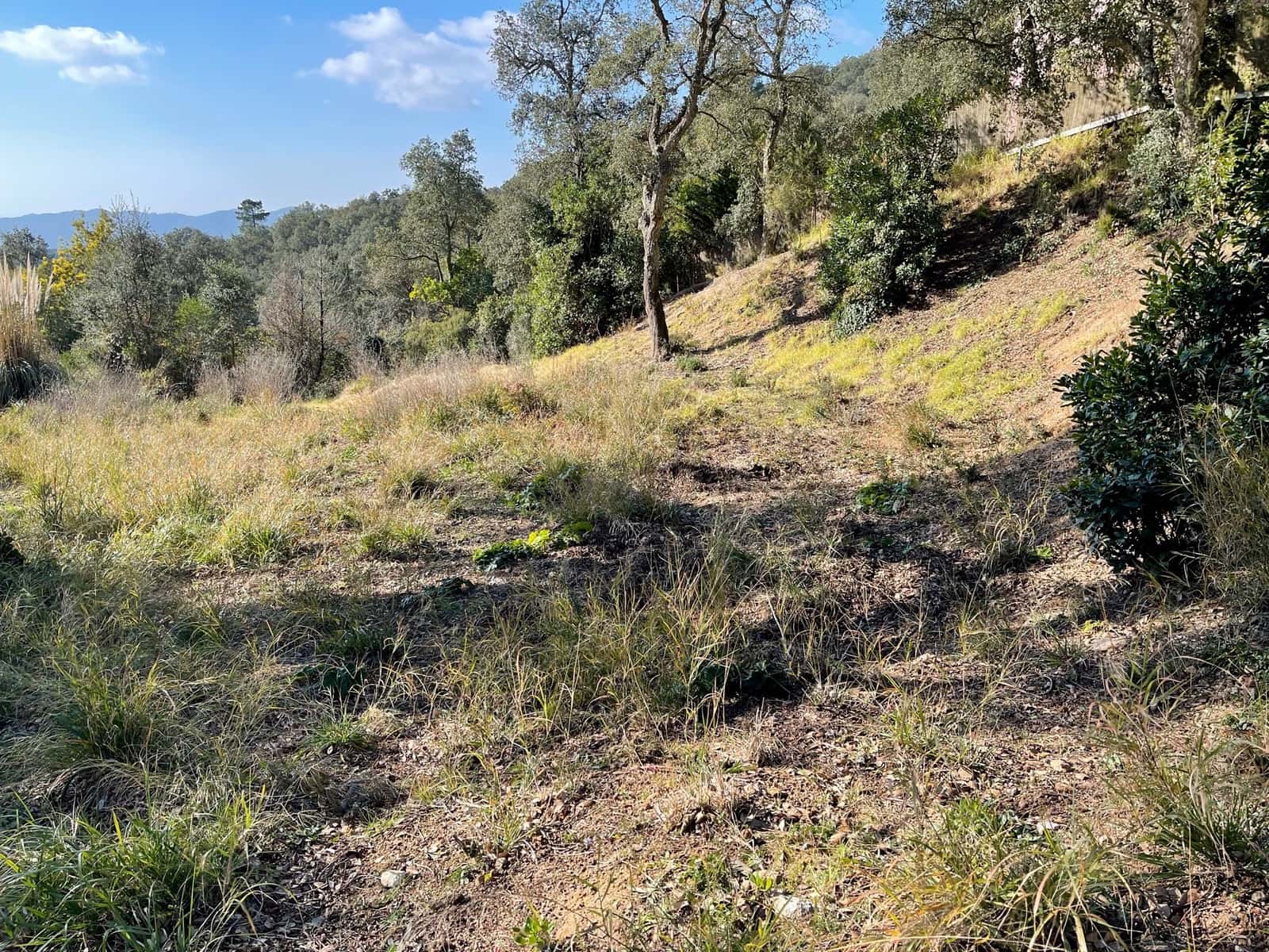 Grunde uden byggetilladelser til salg i Llagostera - € 53.000 (Ref: 7403890)