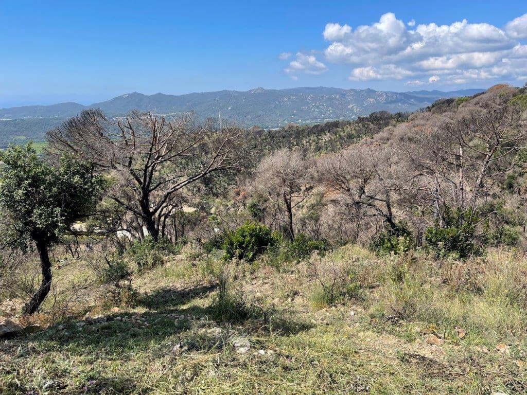 Quinta/Casa Rural para venda em Castell-Platja d'Aro - 375 000 € (Ref: 7651042)