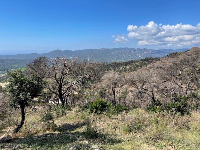 Finca/Casa di Campagna in vendita in Castell-Platja d'Aro - 375.000 € (Rif: 7651042)