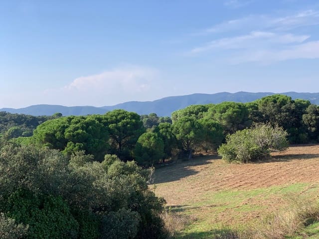 5 slaapkamer Finca/Landhuis te koop in Platja d'Aro, Castell-Platja d'Aro met zwembad - € 2.250.000 (Ref: 7801203)