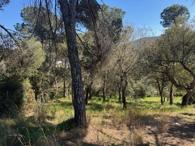 Mark till salu i Calonge i Sant Antoni - 89 000 € (Ref: 8537981)