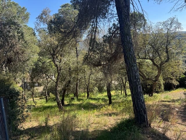 Mark till salu i Calonge i Sant Antoni - 89 000 € (Ref: 8537981)