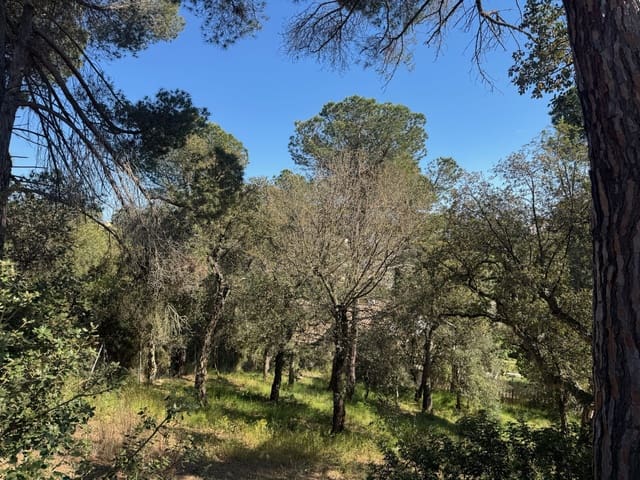 Mark till salu i Calonge i Sant Antoni - 89 000 € (Ref: 8537981)