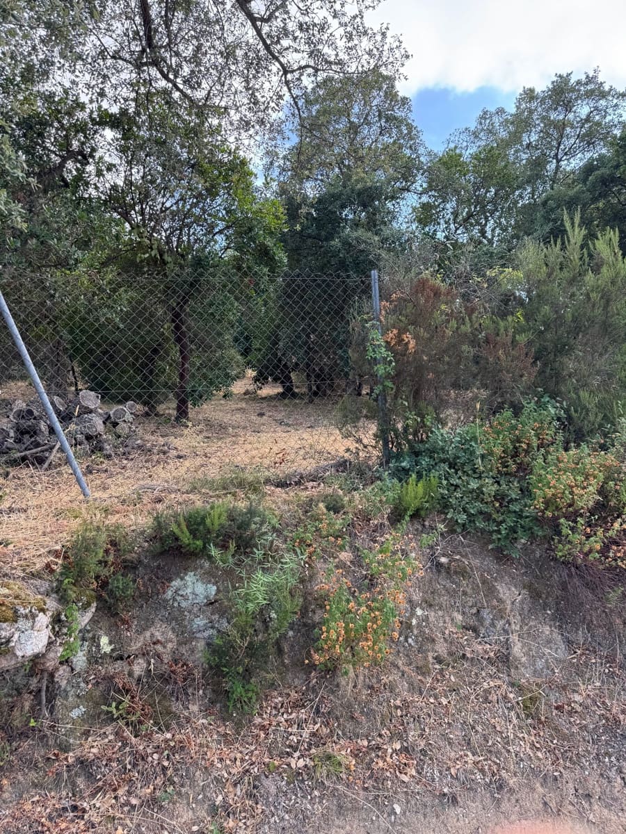 Mark till salu i Calonge i Sant Antoni - 69 000 € (Ref: 9188879)