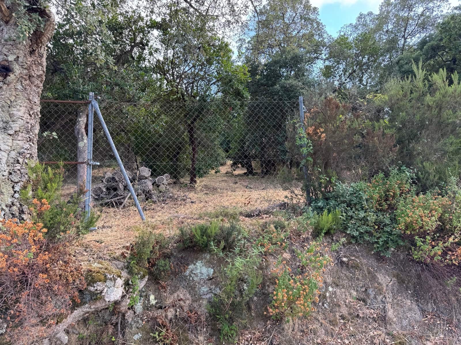 Mark till salu i Calonge i Sant Antoni - 69 000 € (Ref: 9188879)