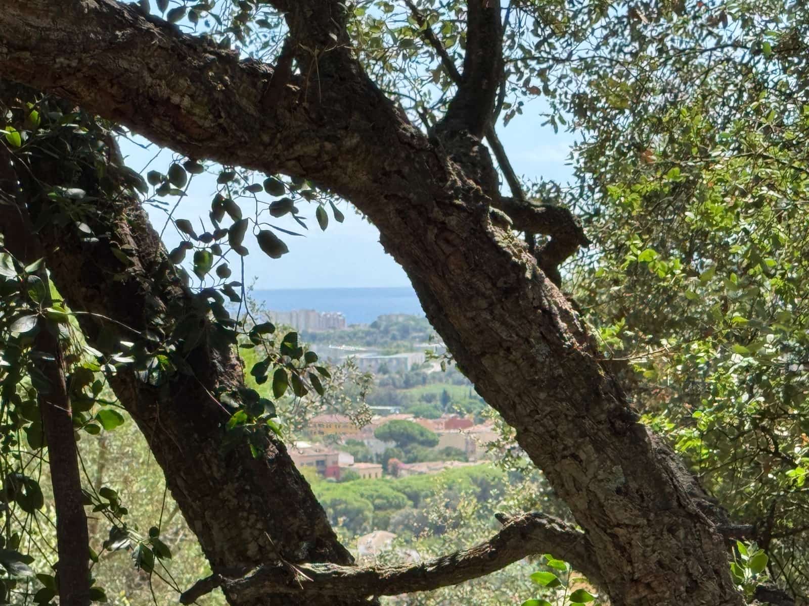 Grunde uden byggetilladelser til salg i Calonge i Sant Antoni - € 132.000 (Ref: 9228095)