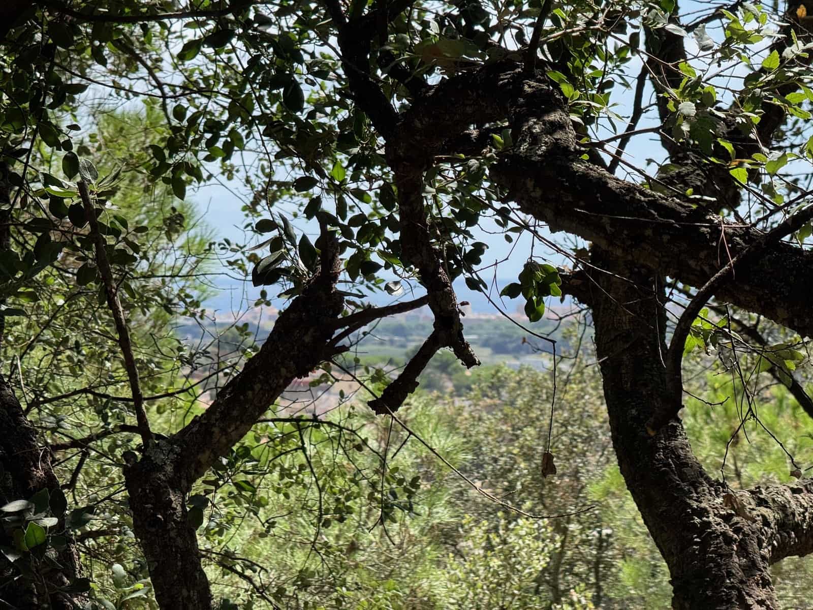 Grunde uden byggetilladelser til salg i Calonge i Sant Antoni - € 132.000 (Ref: 9228095)