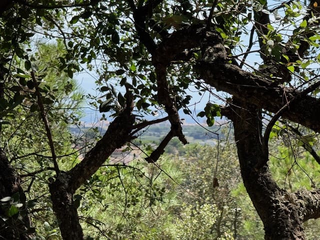 Rakentamaton maa myytävänä paikassa Calonge i Sant Antoni - 132 000 € (Ref: 9228095)