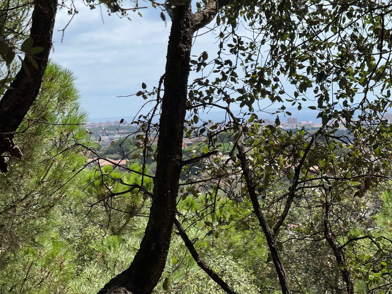 Grunde uden byggetilladelser til salg i Calonge i Sant Antoni - € 132.000 (Ref: 9228095)