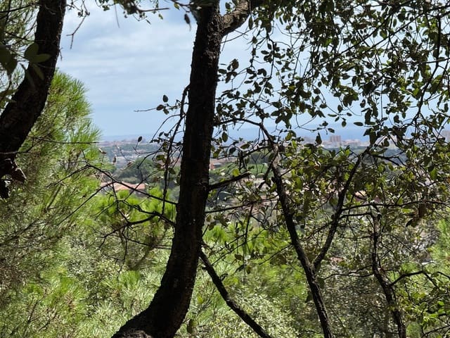 Rakentamaton maa myytävänä paikassa Calonge i Sant Antoni - 132 000 € (Ref: 9228095)