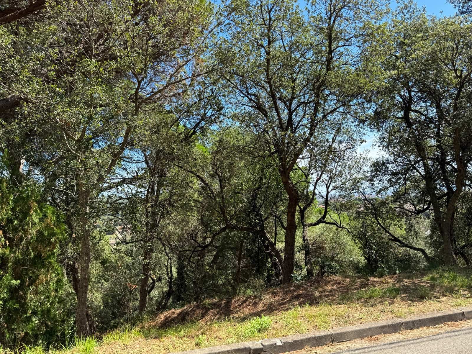 Grunde uden byggetilladelser til salg i Calonge i Sant Antoni - € 132.000 (Ref: 9228095)