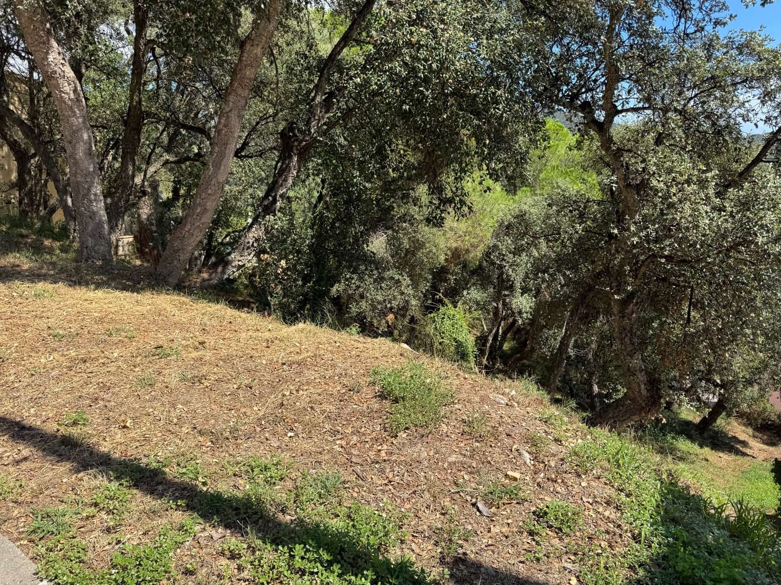 Grunde uden byggetilladelser til salg i Calonge i Sant Antoni - € 132.000 (Ref: 9228095)