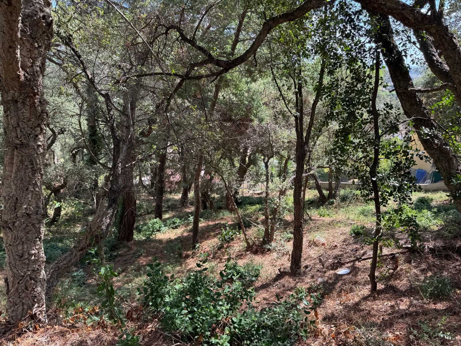 Grunde uden byggetilladelser til salg i Calonge i Sant Antoni - € 132.000 (Ref: 9228095)